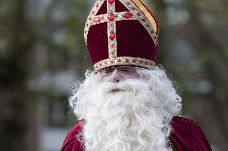 2010 Sinterklaas 121.jpg